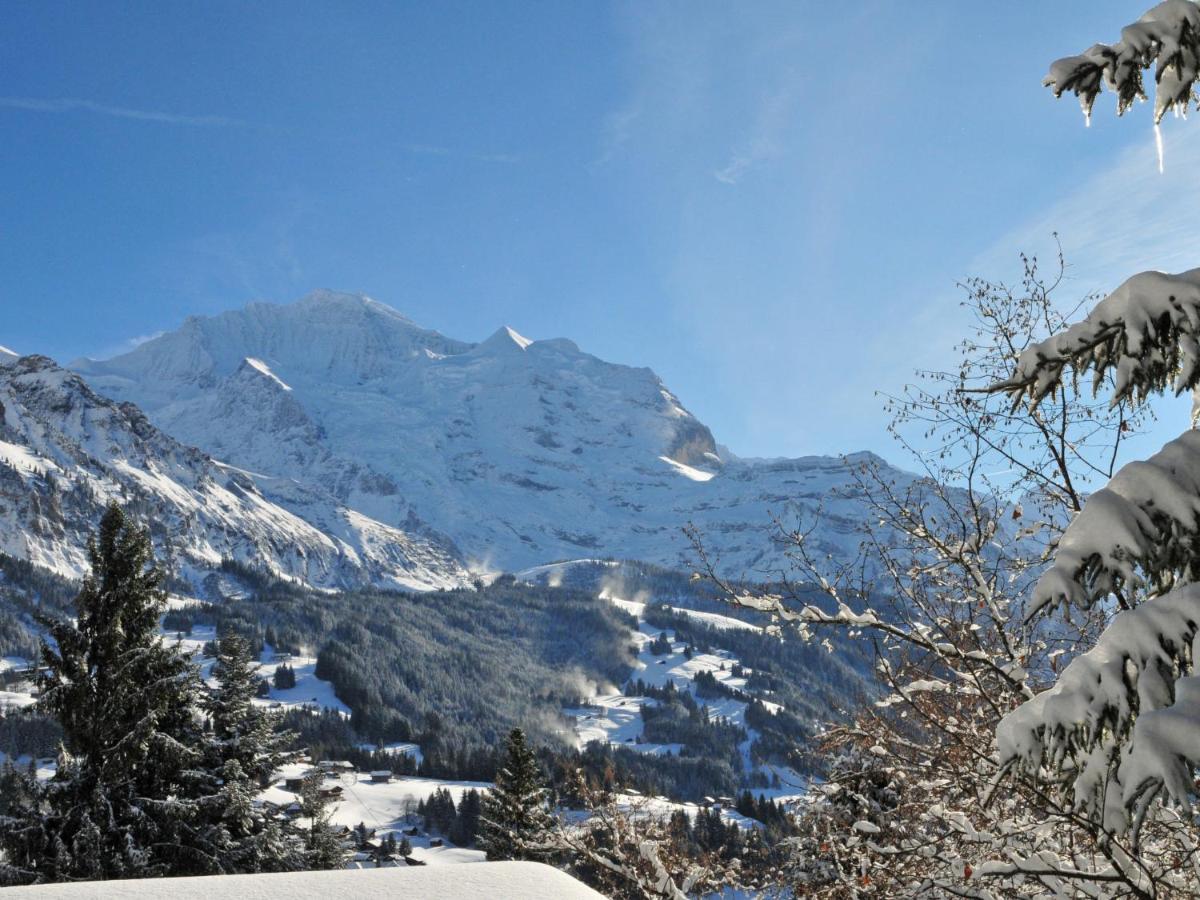 Apartment Helene Apt-Diana By Interhome Wengen Kültér fotó